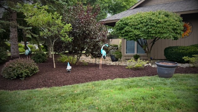 Mulched planting bed at house corner