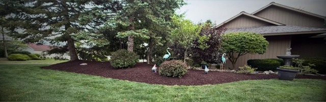 Wide lawn with established planting beds