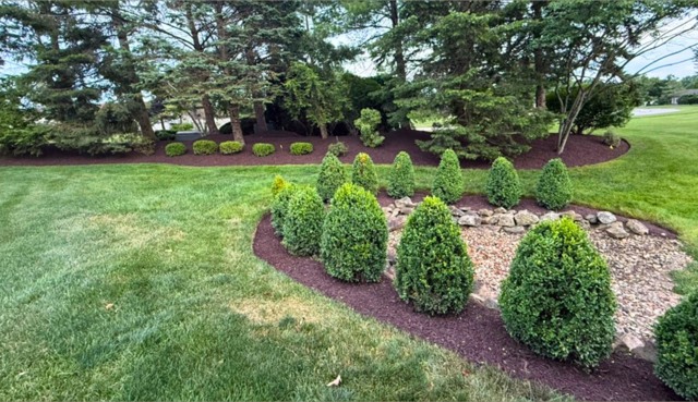 Curved shrub bed beneath tree canopy