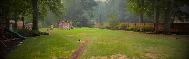 Wide lawn with irrigation line trenches