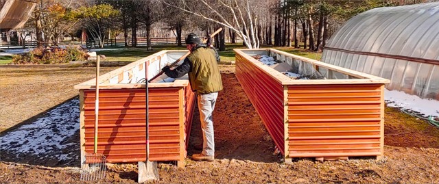 Worker beside raised garden boxes