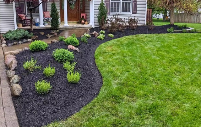 Curved mulched front beds and lawn