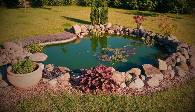 Small ornamental pond edged with boulders