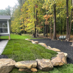 Artline pavers with Natural Retaining wall to lift yard up, outcroppings. Sod yard to finish.